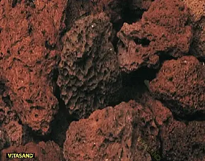 Lava Plant Soil Thick