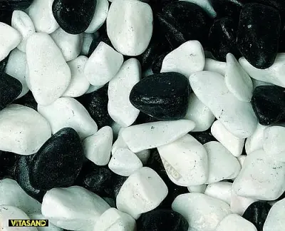Black and White